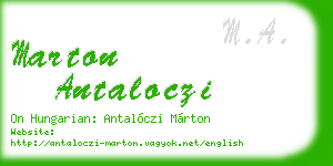marton antaloczi business card